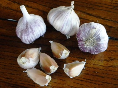 blossom garlic